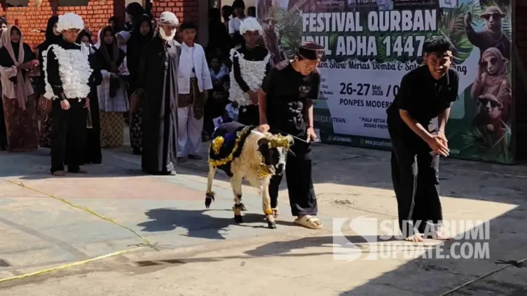 Dandani Domba Pakai Barang Bekas, Uniknya Tradisi “Fashion Show” Hewan Kurban di Sukabumi